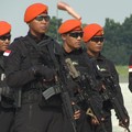 RI Disorot Asing, Jadi Pusat Latihan Perang