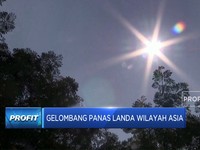 Gelombang Panas Landa Wilayah Asia