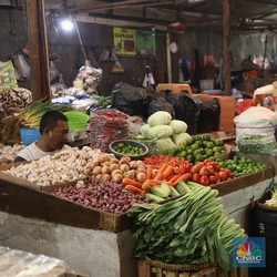 Deretan Startup Buah dan Sayur RI yang PHK Hingga Bangkrut