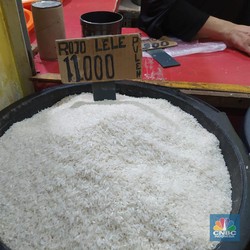 Beras Harus Dicuci Sebelum Dimasak? Ini Penjelasan Sains