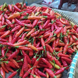 Bu Rudy Curhat Diejek Jadul, Kini Jualan Sambal Pakai Ini