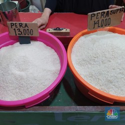 Harga Beras RI Selangit di Dunia? Ini Kata Anak Buah Jokowi
