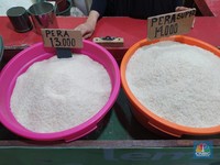 Harga Beras RI Selangit di Dunia? Ini Kata Anak Buah Jokowi