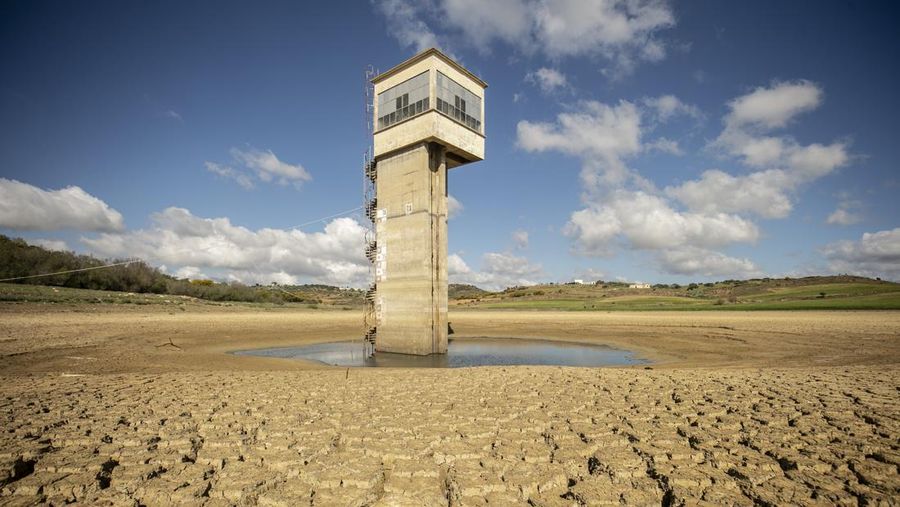 Pemandangan Lembah Chiba, yang menampung penyu air yang terancam kehilangan habitat alaminya akibat kekeringan di wilayah tersebut, di Nabeul, Tunisia pada 11 April 2023. (Yassine Gaidi/Anadolu Agency via Getty Images)