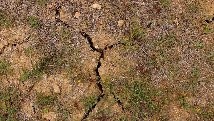 Padang rumput terlihat retak akibat kekeringan selama suhu musim panas yang terik di musim semi di Ronda, Spanyol 27 April 2023. (REUTERS/Jon Nazca)