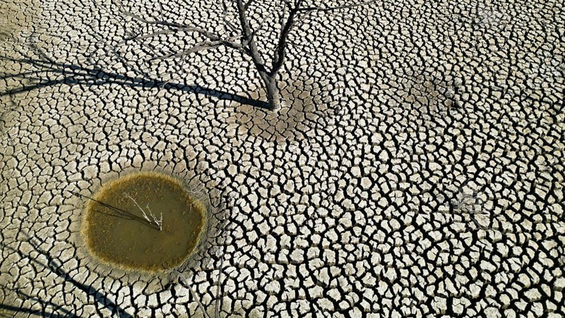 Seekor burung berjalan di Waduk Sierra Boyera, yang hanya 0,01% dari kapasitasnya, di Belmez, Spanyol selatan 26 April 2023. (REUTERS/Elena Rodriguez)