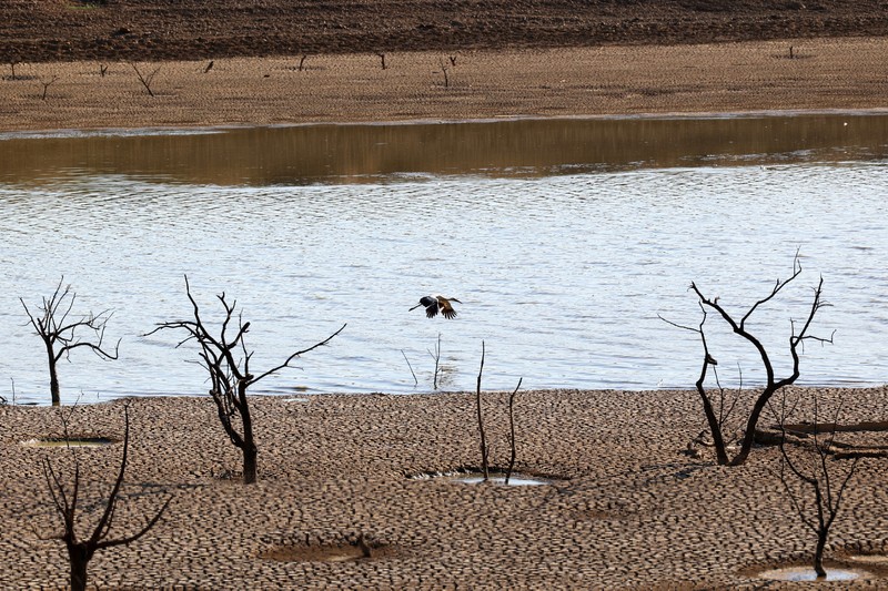 Seekor burung berjalan di Waduk Sierra Boyera, yang hanya 0,01% dari kapasitasnya, di Belmez, Spanyol selatan 26 April 2023. Seekor burung berjalan di Waduk Sierra Boyera, yang hanya 0,01% dari kapasitasnya, di Belmez, Spanyol selatan 26 April 2023. (REUTERS/Elena Rodriguez)