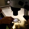Fisikawan Temukan 'Partikel Tuhan', Disebut Bisa Picu Kiamat