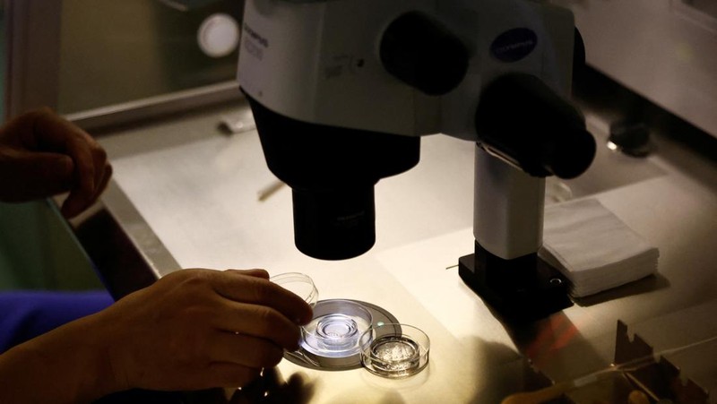 Anggota staf berjalan melewati ruang tunggu pusat reproduksi berbantuan di Rumah Sakit Keluarga Sempurna Beijing, yang berspesialisasi dalam perawatan kesuburan, di Beijing, China 6 April 2023. (REUTERS/Tingshu Wang)