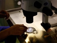 Fisikawan Temukan 'Partikel Tuhan', Disebut Bisa Picu Kiamat