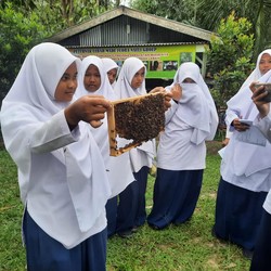 Pengusaha Madu Siantar Berdayakan Masyarakat Bareng BRI