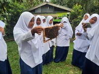 Pengusaha Madu Siantar Berdayakan Masyarakat Bareng BRI