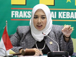 Waka Komisi IX DPR Usul AI Bantu Analisis Penyakit Pasien Wilayah Minim Dokter