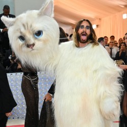 Viral Aktor Jared Leto Pakai Kostum Kucing, Ini Maknanya
