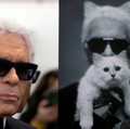 Wow! Kucing Mendiang Karl Lagerfeld Punya Harta Miliaran