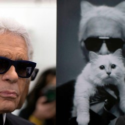 Wow! Kucing Mendiang Karl Lagerfeld Punya Harta Miliaran