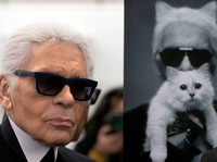 Wow! Kucing Mendiang Karl Lagerfeld Punya Harta Miliaran