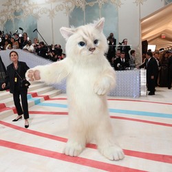 Heboh Aktor Jared Leto Pakai Kostum Kucing di Met Gala 2023