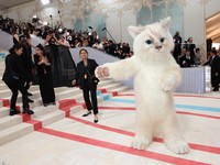 Heboh Aktor Jared Leto Pakai Kostum Kucing di Met Gala 2023