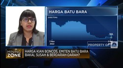 Jokowi Ingin PLTU Ditutup 2025, Tambang Batu Bara Terancam?
