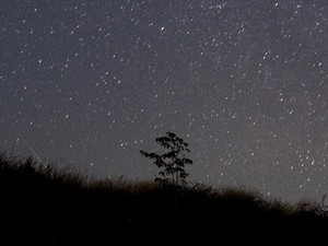 4 Fenomena Astronomi Oktober 2024, Ada Gerhana Matahari hingga Hujan Meteor!