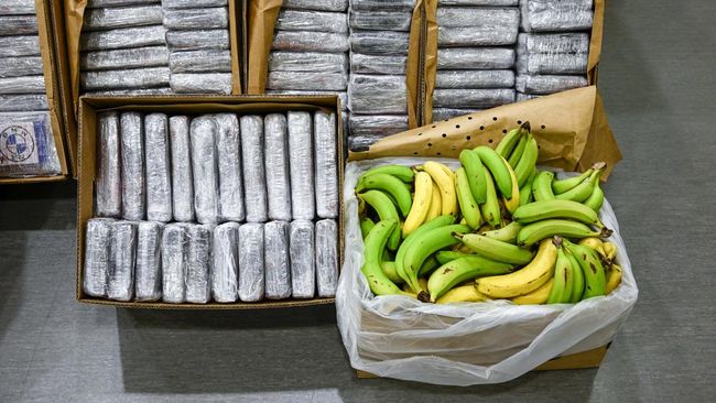 Pemerintah Umumkan Darurat Gegara PHK Pabrik Pisang, 5000 Pekerja Kena