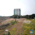 6,4 Juta Hektare Lahan Rawan Dimainkan Mafia, Ini Sebabnya
