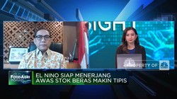 Strategi DKI Amankan Stok & Harga Beras Kala El Nino Datang