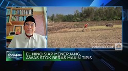 Jurus Jaga Produksi Pangan Saat Musim Kemarau Mengancam