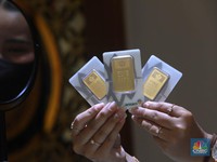 Laba Antam Naik 24% Jadi Rp 1,53 T, Ini Penyebabnya