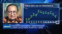 Ekonomi RI Q1-2023 Terkontraksi 0,92% (qtq), Apa Sebabnya?