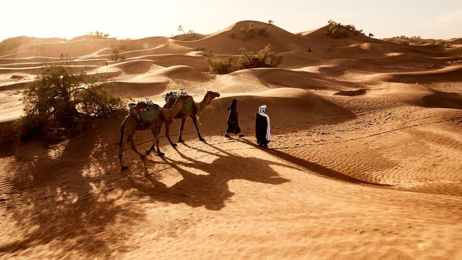 Saudi Arabia. (Dok. Freepik)