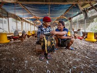 Segmen Mikro Jadi Kunci BRI Raih Laba Tinggi di Kuartal I