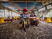 Segmen Mikro Jadi Kunci BRI Raih Laba Tinggi di Kuartal I