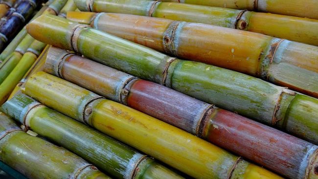 Awas Pabrik Gula Meledak-Swasembada Terancam, Ini Biang Keroknya