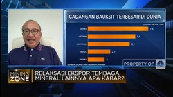 Jokowi Beri Relaksasi Ekspor Tembaga, Apa Kabar Bauksit?