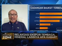 Jokowi Beri Relaksasi Ekspor Tembaga, Apa Kabar Bauksit?