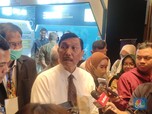 Terungkap! Ini Alasan Luhut Ingin Larang Ekspor Gas