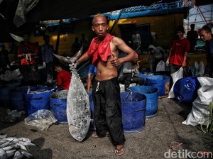 Badan Pangan Dunia Dukung RI Terapkan Penangkapan Ikan Terukur