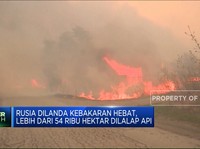 Video: Kebakaran di Rusia, 54 Ribu Hektar Hutan Dilalap Api