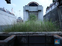 Ada Rumput di Mana-Mana, Terminal Blok M Disulap untuk MRT
