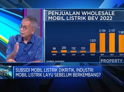 Dikritik, Industri Mobil Listrik Layu Sebelum Berkembang?
