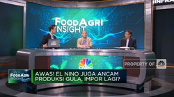 Video: El Nino Hingga Pupuk Mahal, Produksi Gula RI Terancam?