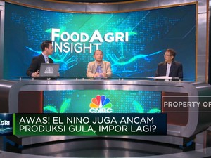 Video: El Nino Hingga Pupuk Mahal, Produksi Gula RI Terancam?