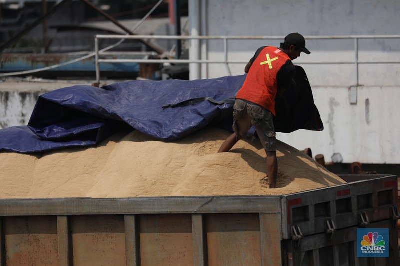 Pekerja melakukan aktivitas bongkar muat gula kristal merah (rafinasi) dari India sebanyak 2.000 ton di Pelabuhan Tanjung Priok, Jakarta, Kamis (11/5/2023). Pekerja melakukan aktivitas bongkar muat gula kristal merah (rafinasi) dari India sebanyak 2.000 ton di Pelabuhan Tanjung Priok, Jakarta, Kamis (11/5/2023). (CNBC Indonesia/Tri Susilo)
