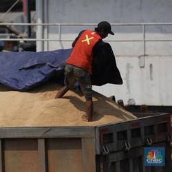 RI Pusing 7 Keliling Impor Gula, Harga Dunia Naik Gila-Gilaan