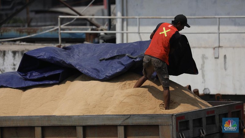 Pekerja melakukan aktivitas bongkar muat gula kristal merah (rafinasi) dari India sebanyak 2.000 ton di Pelabuhan Tanjung Priok, Jakarta, Kamis (11/5/2023). (CNBC Indonesia/Tri Susilo)