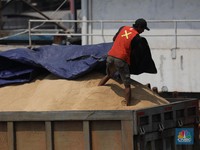 RI Pusing 7 Keliling Impor Gula, Harga Dunia Naik Gila-Gilaan
