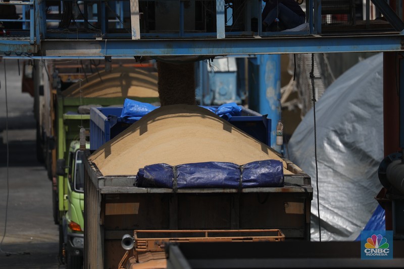 Pekerja melakukan aktivitas bongkar muat gula kristal merah (rafinasi) dari India sebanyak 2.000 ton di Pelabuhan Tanjung Priok, Jakarta, Kamis (11/5/2023). (CNBC Indonesia/Tri Susilo)