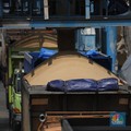 Harga Gula Dunia Menggila! India Biang Kerok, RI Bahaya